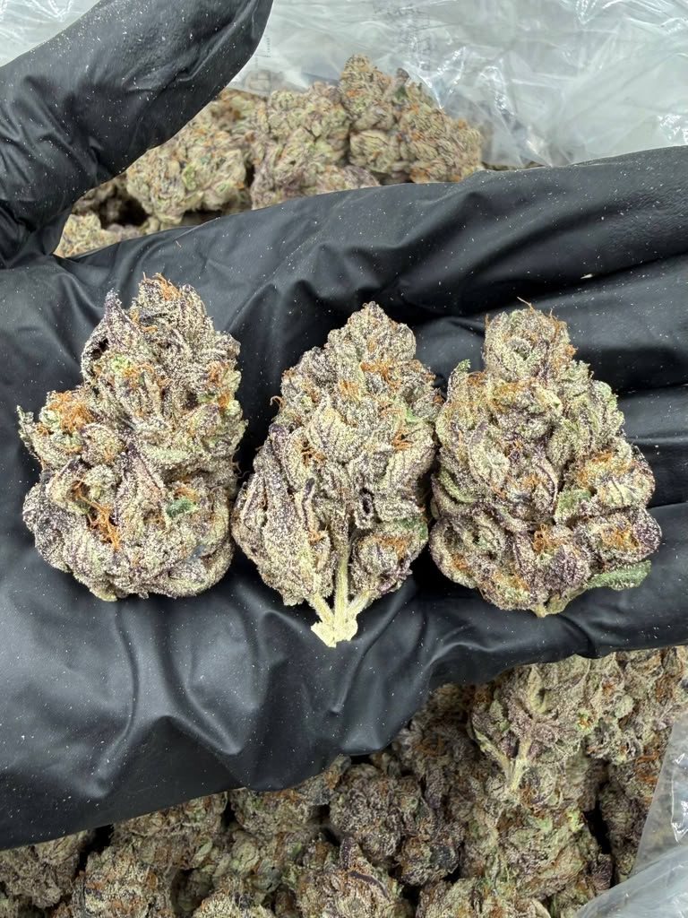 Arcadia Premium Bigs THCA flower