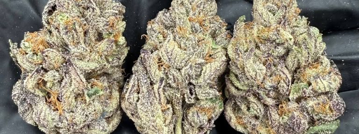Bulk Arcadia THCA flower