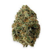 Gas Mask THCA flower buds, Arcadia budget bigs grade, on white