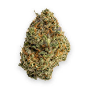 Glitter Bomb THCA flower buds, Arcadia budget bigs grade, on white