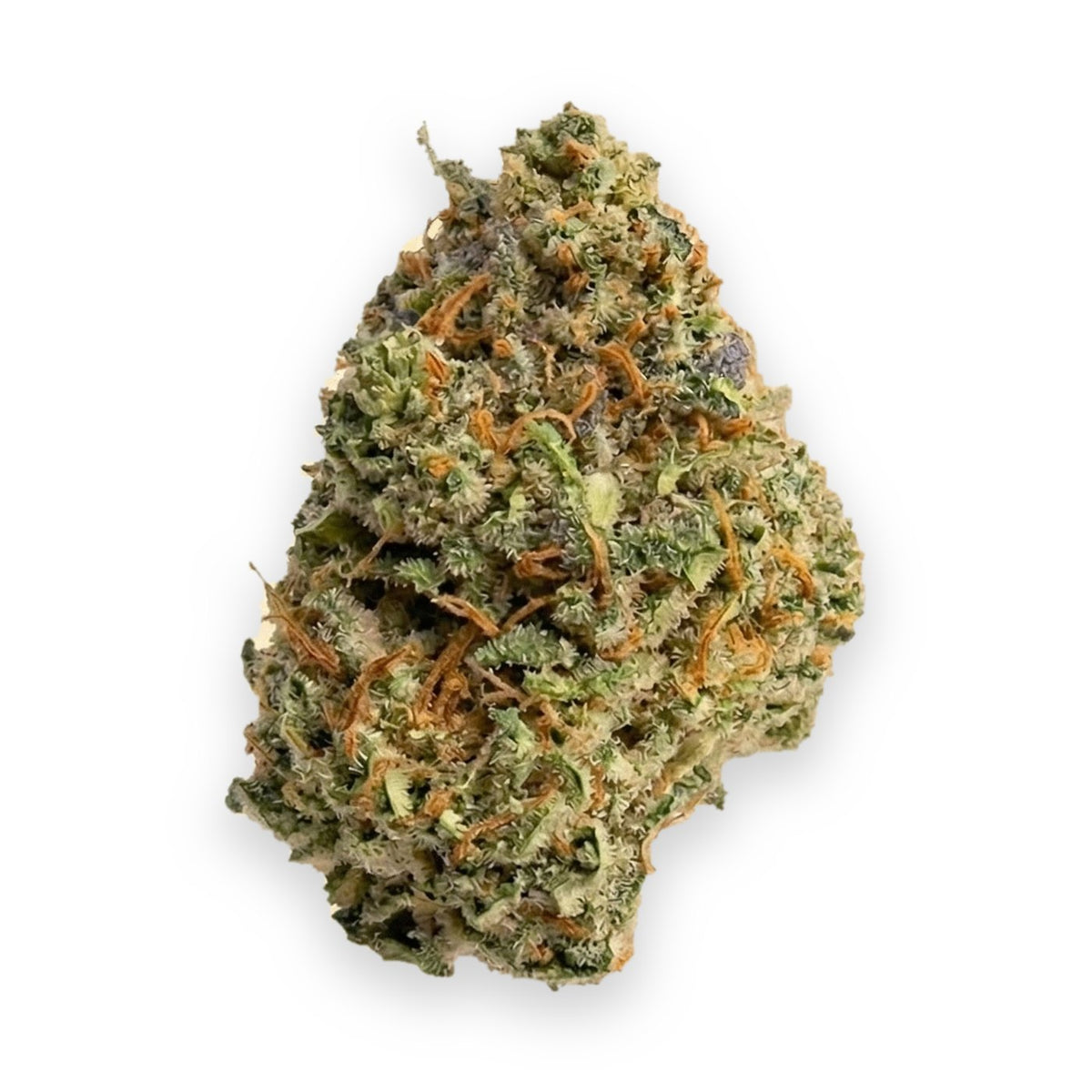 Glitter Bomb THCA flower buds, Arcadia budget bigs grade, on white