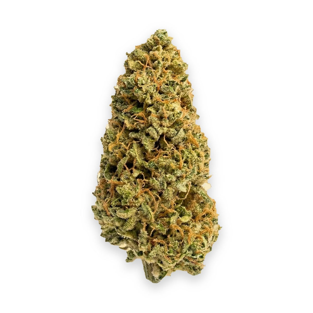 Super Jack THCA flower buds, Arcadia budget bigs grade, on white