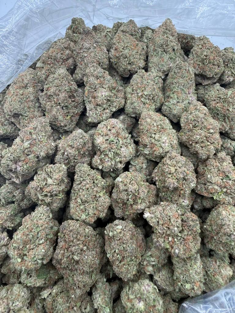 Cherry Payton THCA flower buds, Arcadia premium bigs grade, view 2