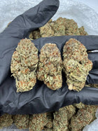 Arcadia Premium Bigs THCA Flower · Illemonati