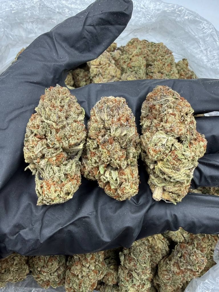 Illemonati THCA flower buds, Arcadia premium bigs grade, view 1