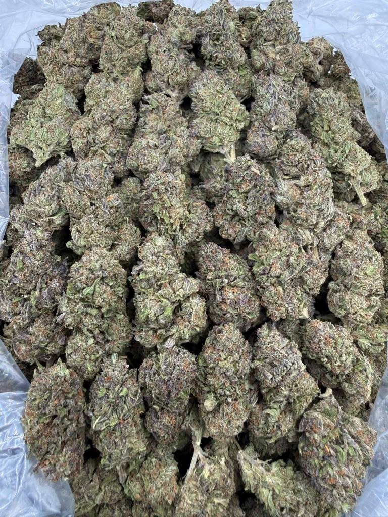 Permanent Marker THCA flower buds, Arcadia premium bigs grade, view 1