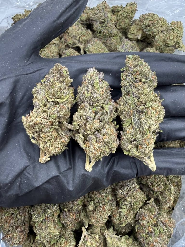 Permanent Marker THCA flower buds, Arcadia premium bigs grade, view 2