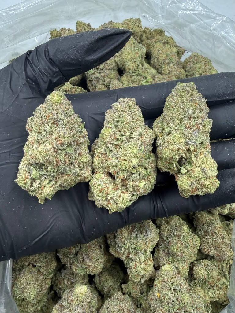 Pink Guava Bomb THCA flower buds, Arcadia premium bigs grade, view 2