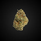 Arcadia Budget Bigs THCA Flower · Glitter Bomb