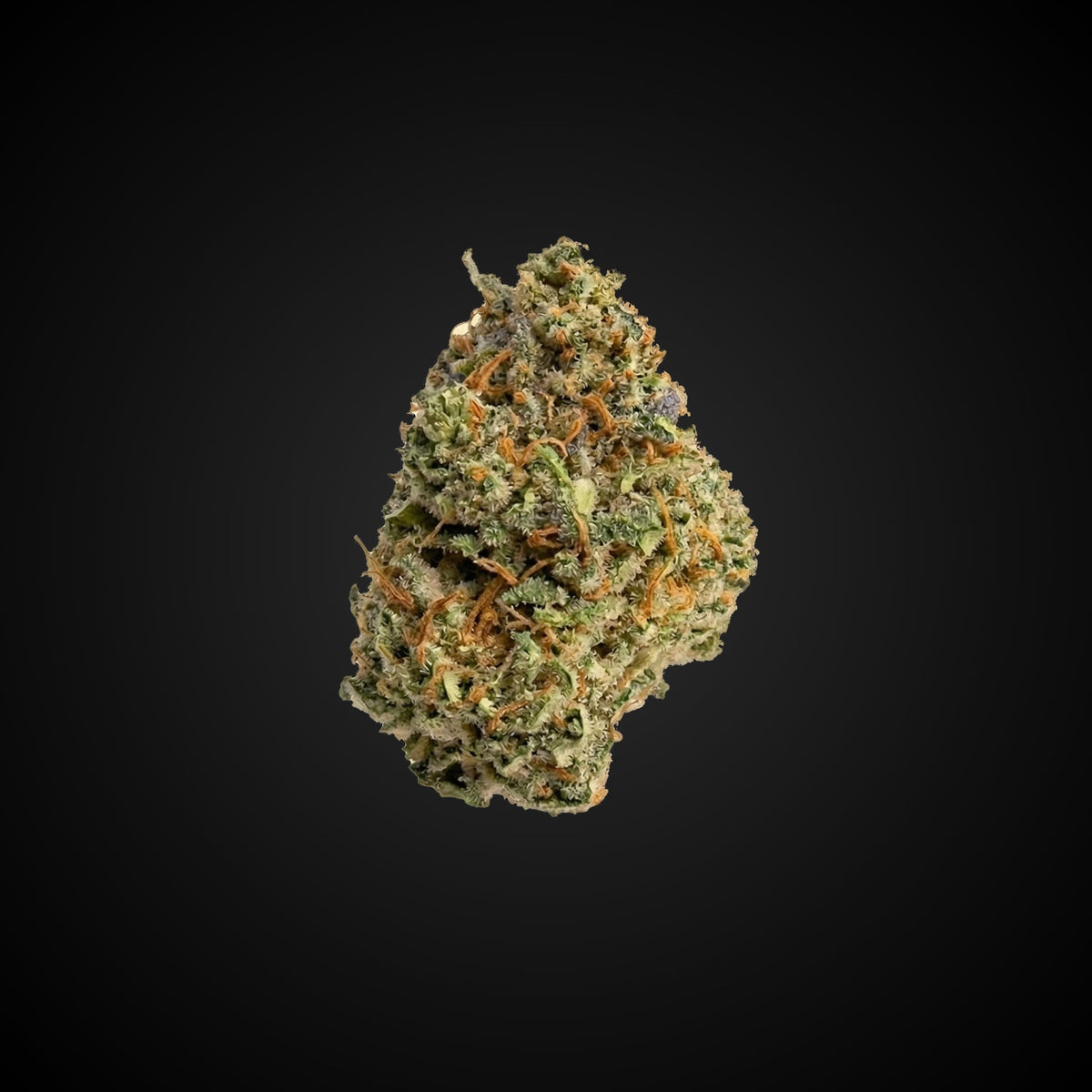 Glitter Bomb THCA flower bud, Arcadia budget bigs grade