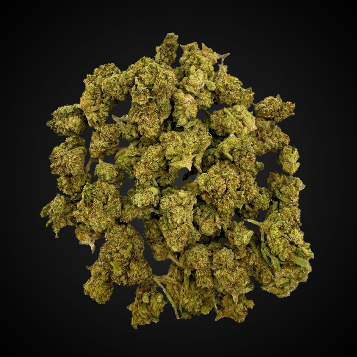 Ice Latto THCA flower buds, Arcadia budget smalls grade