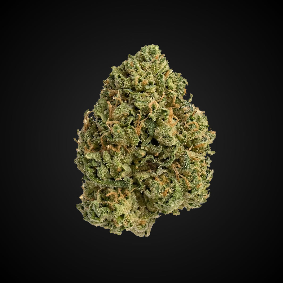 Mamba Ties THCA flower bud, Arcadia budget bigs grade