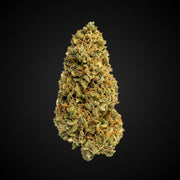 Super Jack THCA flower bud, Arcadia budget bigs grade