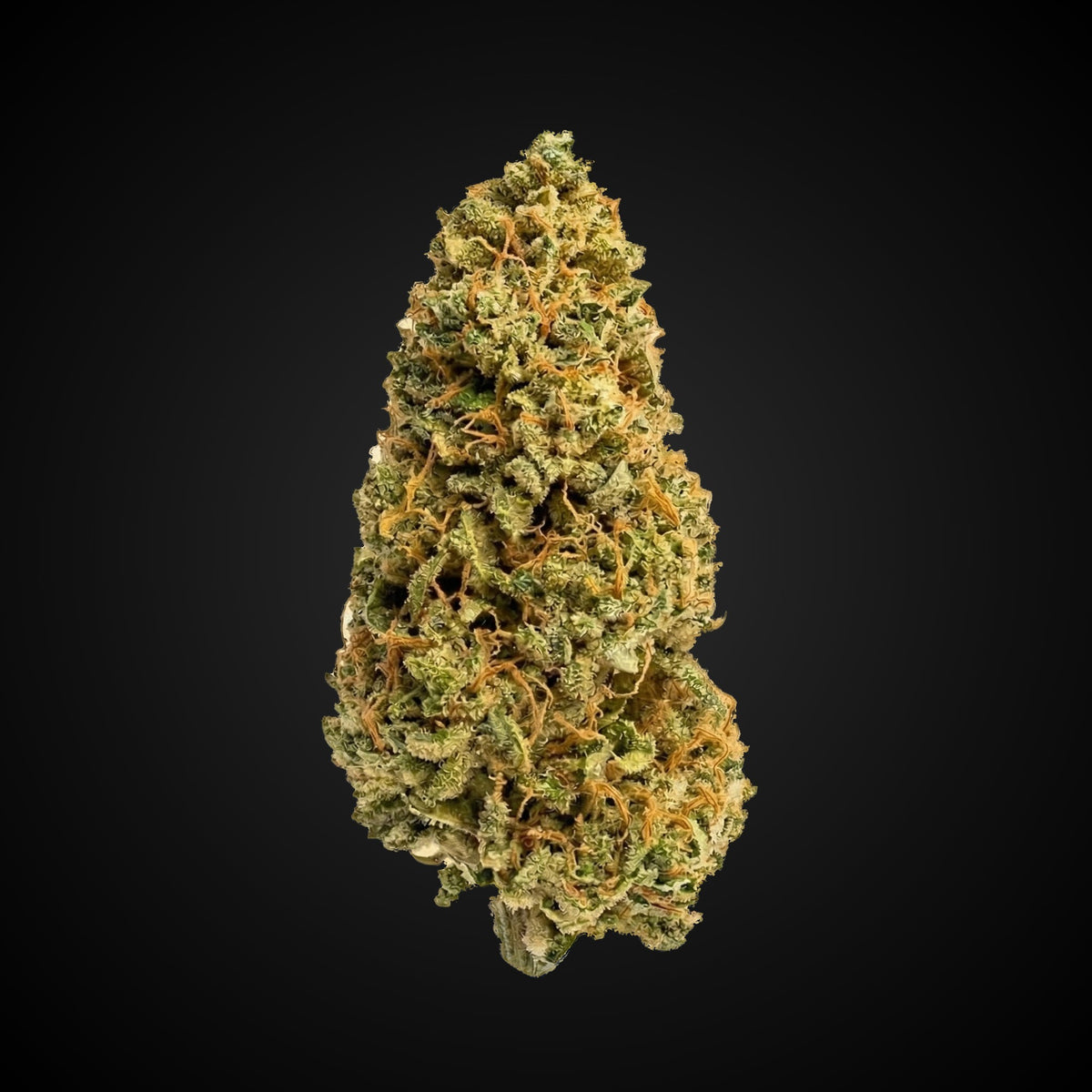 Super Jack THCA flower bud, Arcadia budget bigs grade