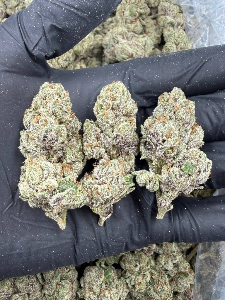 Blue Candy Zours THCA flower buds, Arcadia exotic bigs grade, view 1