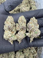 Blue Candy Zours THCA flower buds, Arcadia exotic bigs grade, view 1