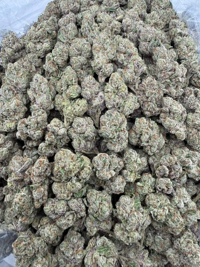Blue Candy Zours THCA flower buds, Arcadia exotic bigs grade, view 2