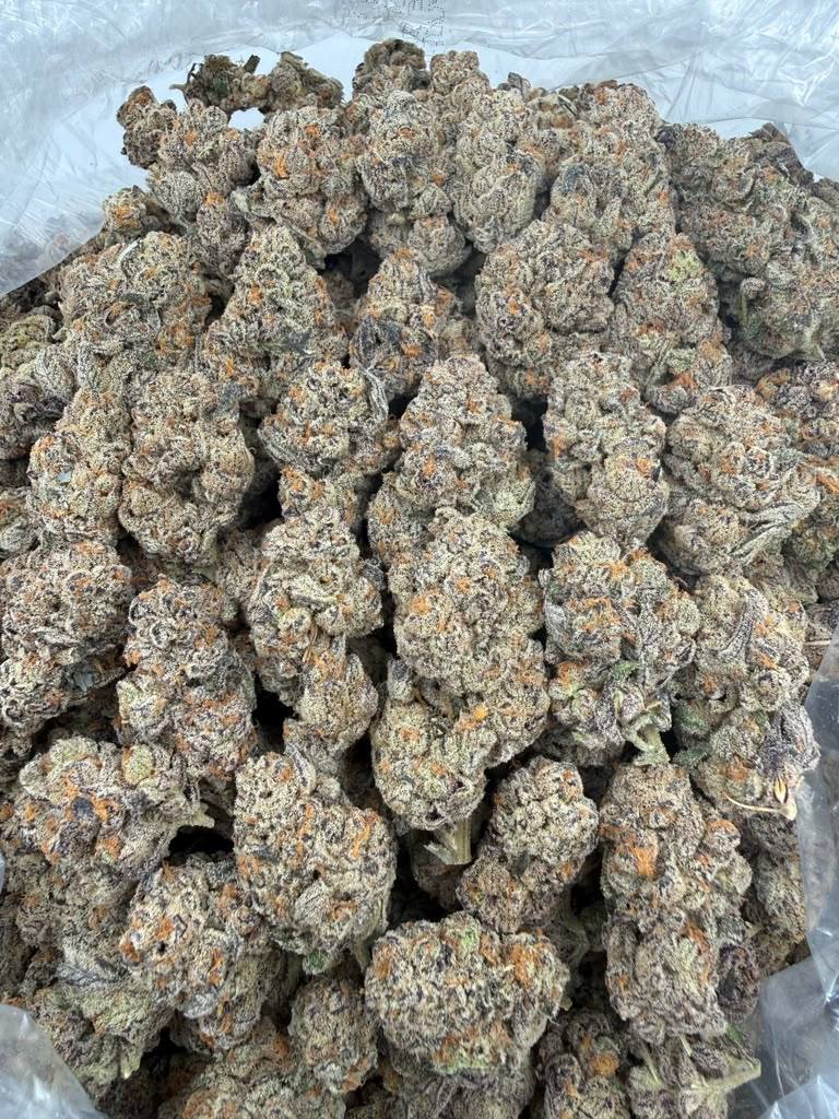Gelato Float X Pop Rocks THCA flower buds, Arcadia exotic bigs grade, view 1