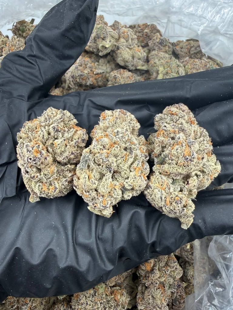 Gelato Float X Pop Rocks THCA flower buds, Arcadia exotic bigs grade, view 2
