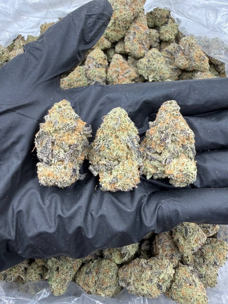 Miracle Alien Cookies THCA flower buds, Arcadia exotic bigs grade, view 1