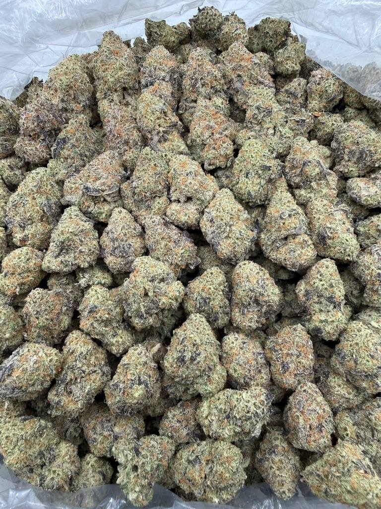 Miracle Alien Cookies THCA flower buds, Arcadia exotic bigs grade, view 2