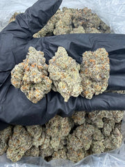 White Runtz X Gmo THCA flower buds, Arcadia exotic bigs grade, view 1
