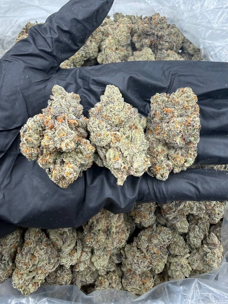 White Runtz X Gmo THCA flower buds, Arcadia exotic bigs grade, view 1