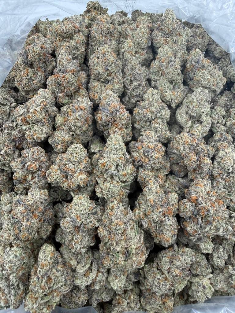 White Runtz X Gmo THCA flower buds, Arcadia exotic bigs grade, view 2