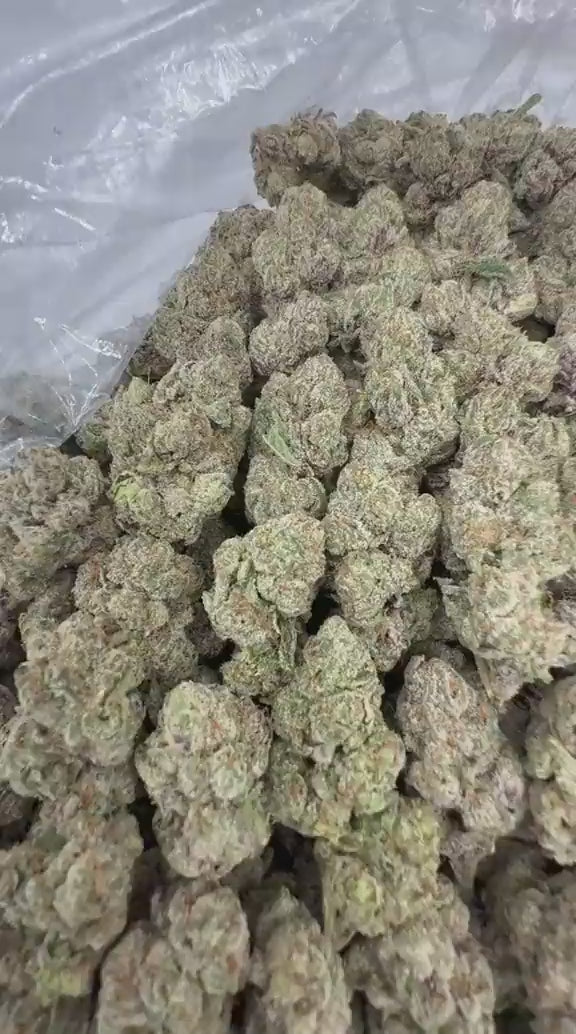 Load video: Blue Candy Zours strain video
