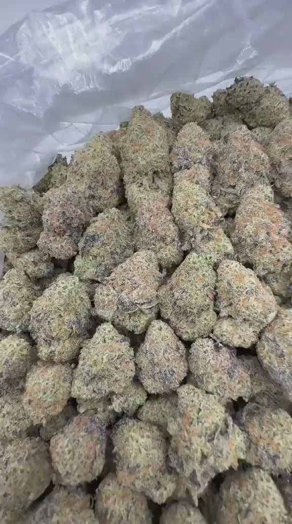 Load video: Miracle Alien Cookies strain video