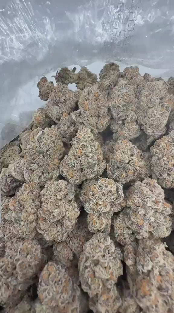Gelato Float x Pop Rocks strain video