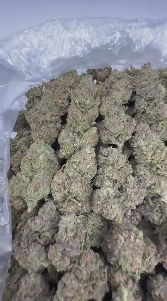 Permanent Marker strain video