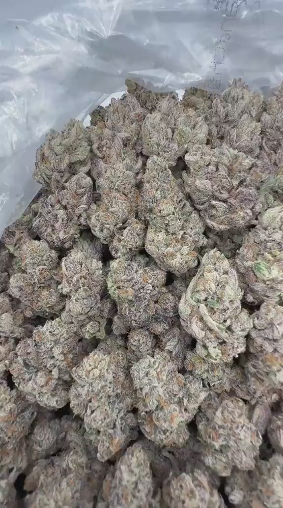 Pink Runtz x Cold Heart strain video