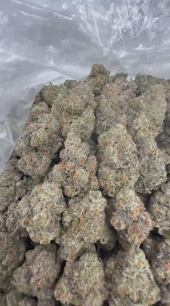 Load video: White Runtz x GMO strain video